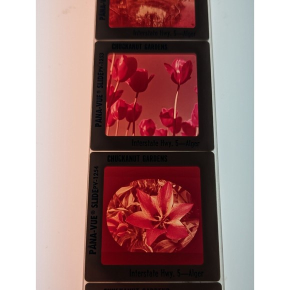 Vintage GAF Pana-Vue Slides Chuckanut Gardens Alger Washington Lot of 5 PV125 - Picture 9 of 10
